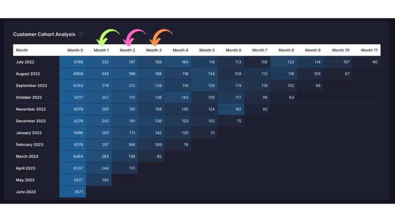 Customer Cohort Analysis